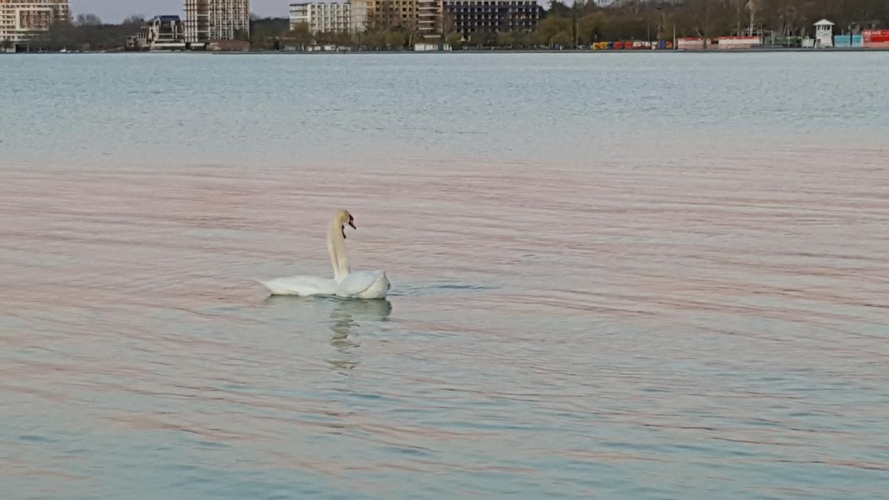 Balaton&Center Wellness Apartman Siófok Exteriör bild